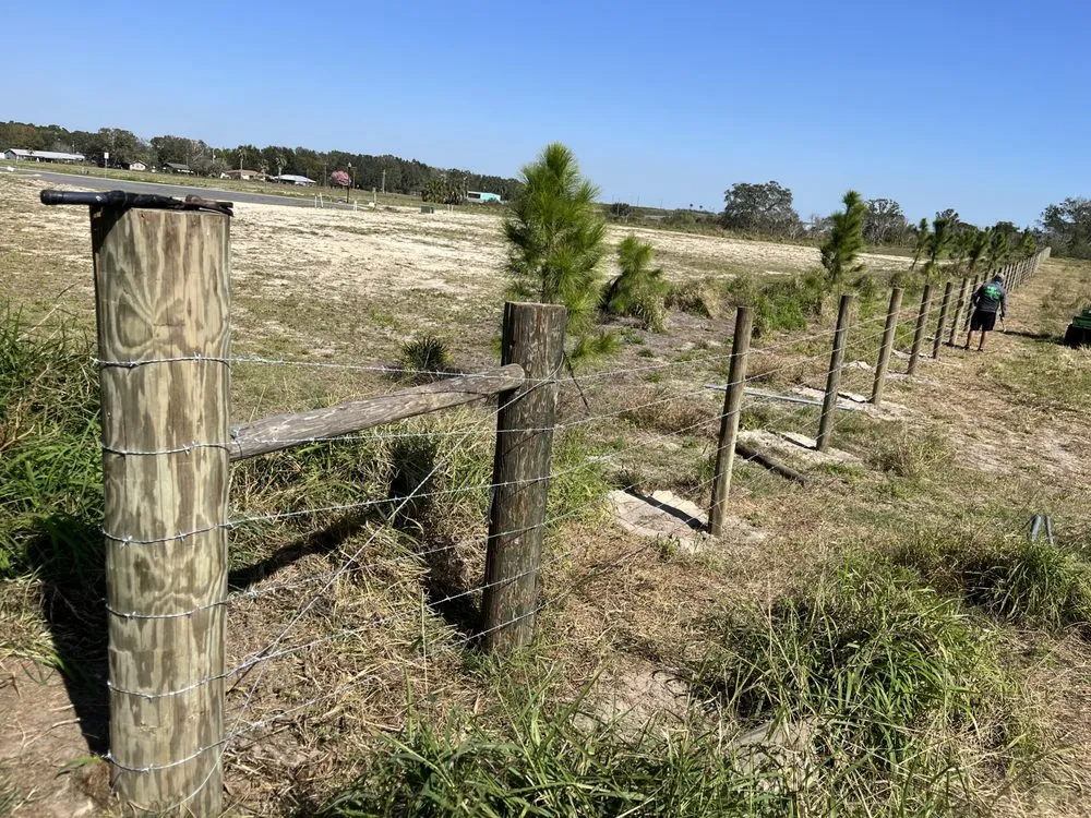 Trusted yard maintenance in Hernando, FL by Fantasy Garden