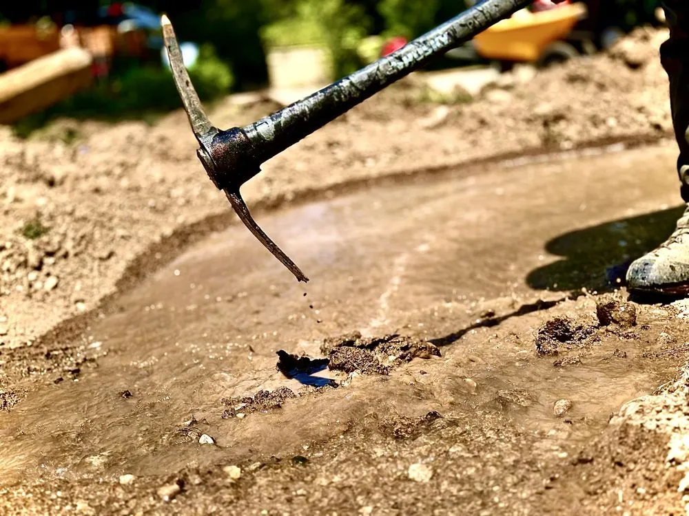 Expert yard cleanup service in Caldwell, ID by Fantasy Scapes