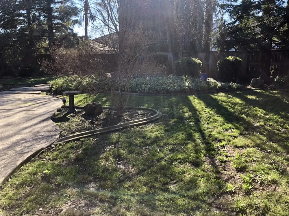 Reliable yard cleanup service in Fair Oaks, CA - Fantasyscapes, Inc.