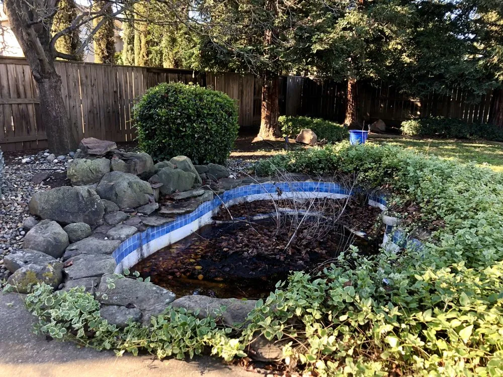 Local lawn mowing service experts serving Fair Oaks, CA - Fantasyscapes, Inc.