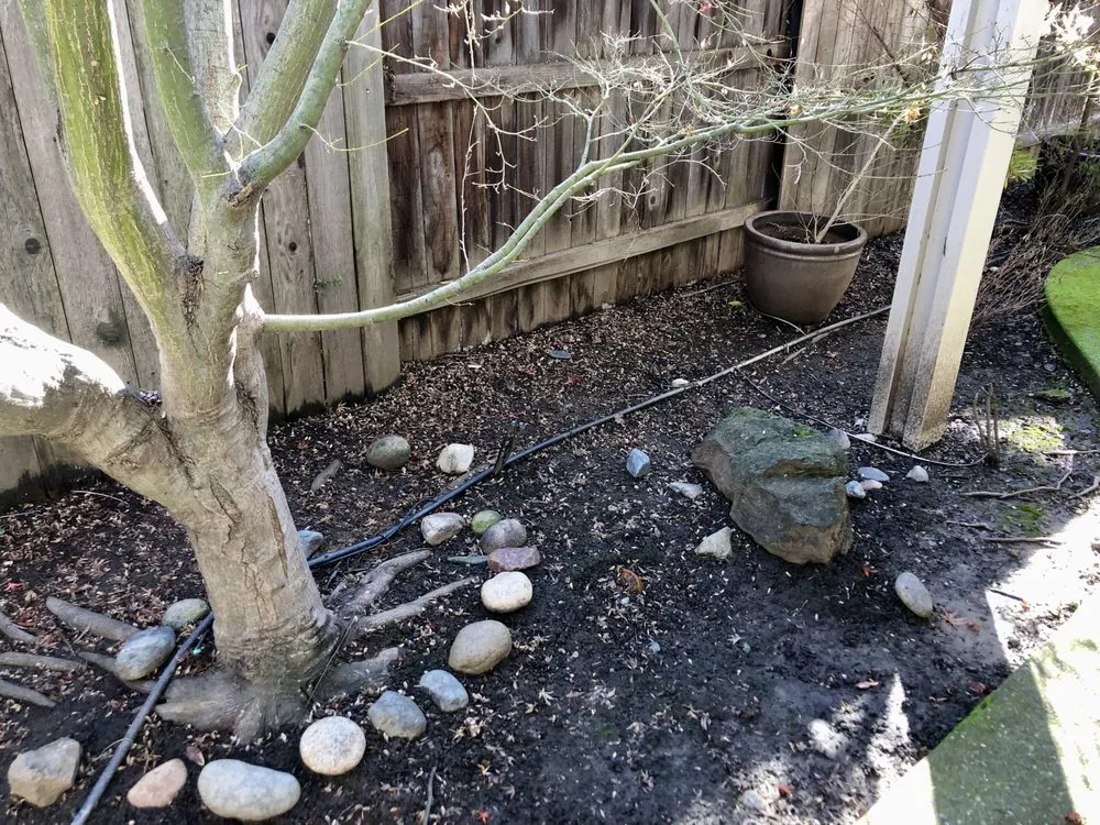 Reliable lawn care service experts serving Fair Oaks, CA - Fantasyscapes, Inc.