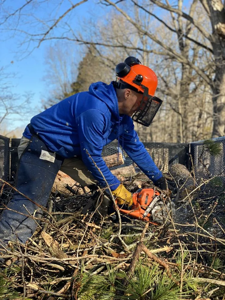 Professional lawn mowing service experts serving Culpeper, VA - Fant’s Tree Service
