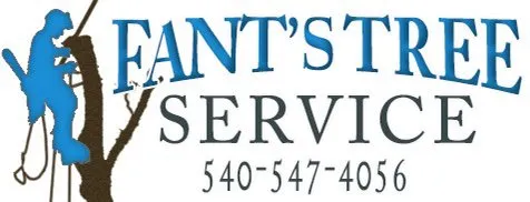Reliable garden landscaping for beautiful yards across Culpeper, VA - Fant’s Tree Service