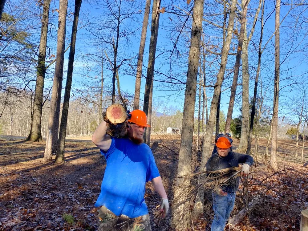 Custom residential landscaping experts serving Culpeper, VA - Fant’s Tree Service