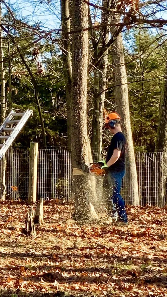 Reliable landscape installation in Culpeper, VA - Fant’s Tree Service