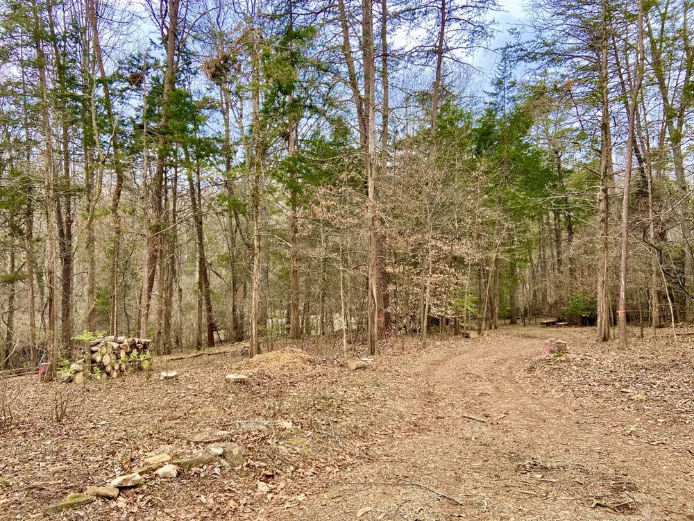 Top-rated lawn mowing service experts serving Culpeper, VA - Fant’s Tree Service