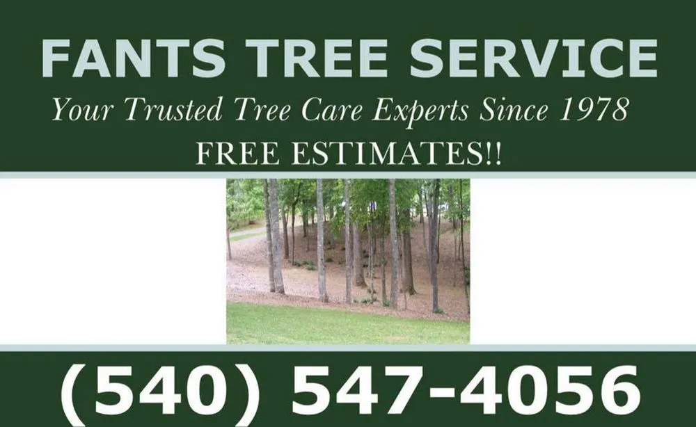 Expert landscape installation in Culpeper, VA by Fant’s Tree Service