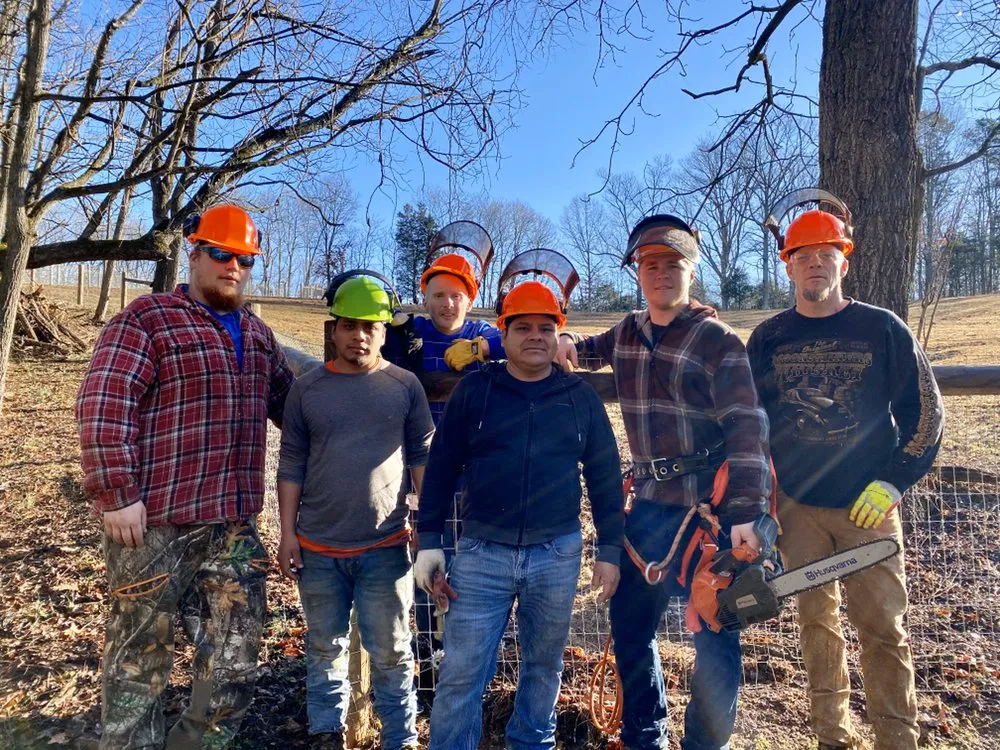 Expert landscape installation experts serving Culpeper, VA - Fant’s Tree Service