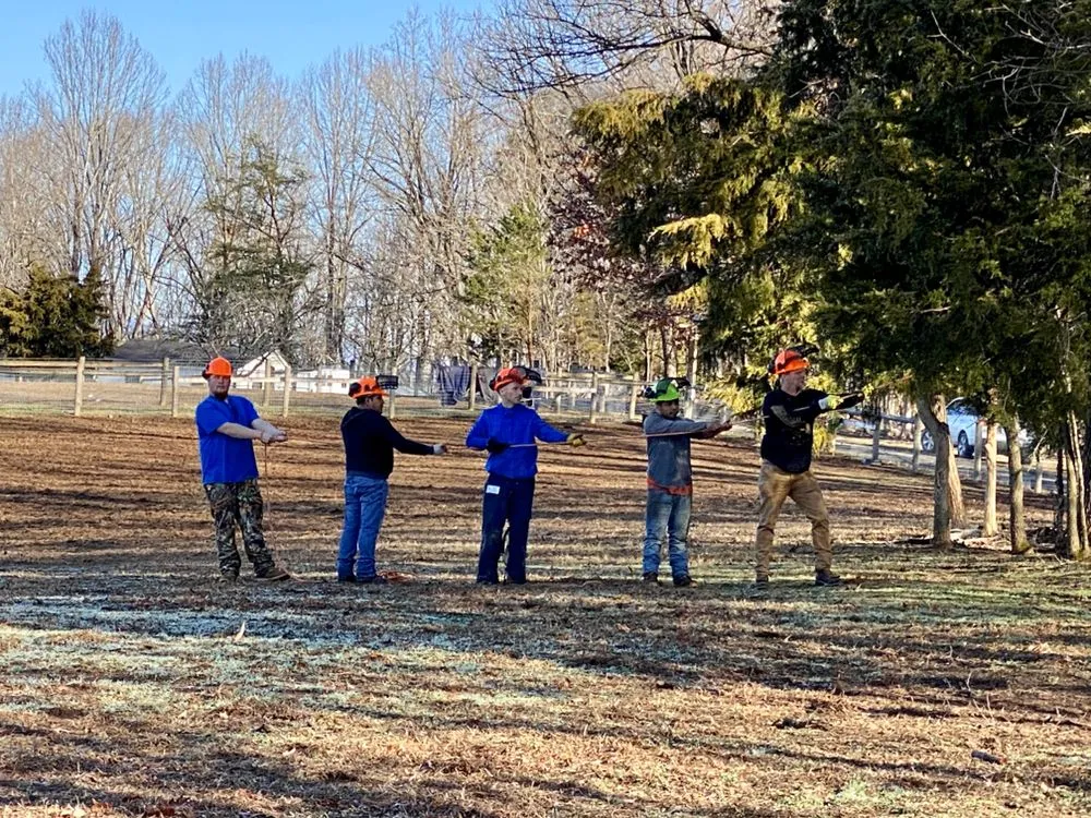 Affordable landscaping services in Culpeper, VA by Fant’s Tree Service