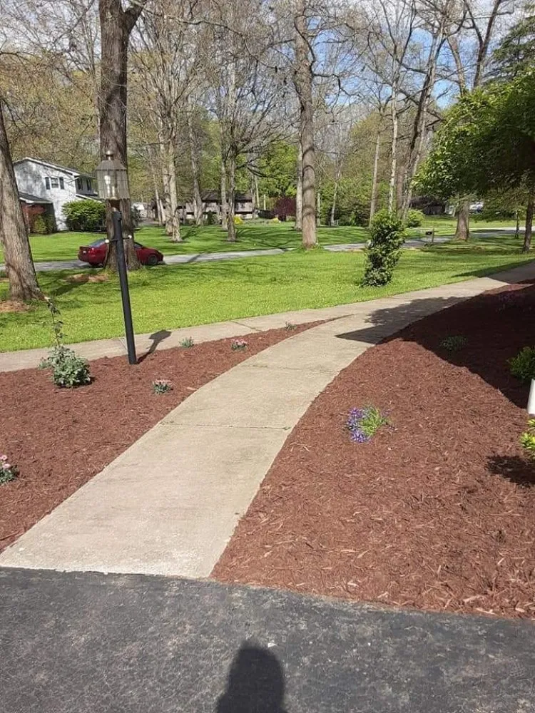 Top-rated outdoor landscaping near you in Swissvale, PA by Faodail landscaping