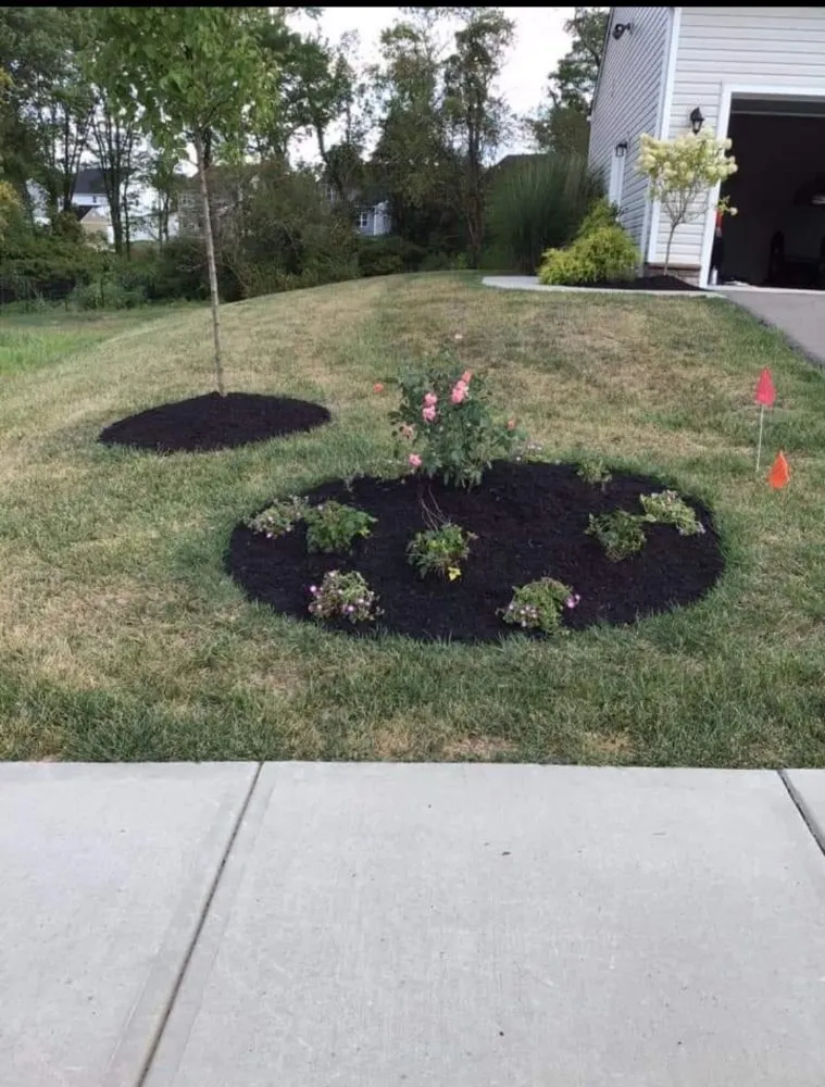 Expert yard maintenance with custom design in Swissvale, PA by Faodail landscaping