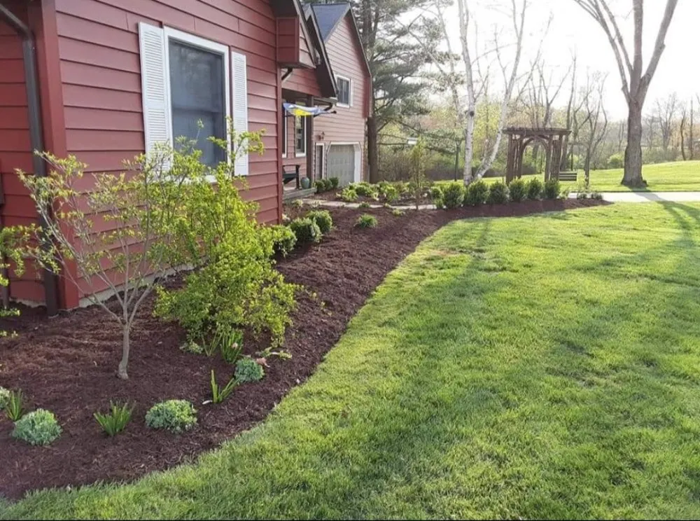 Top-rated residential landscaping in Swissvale, PA by Faodail landscaping