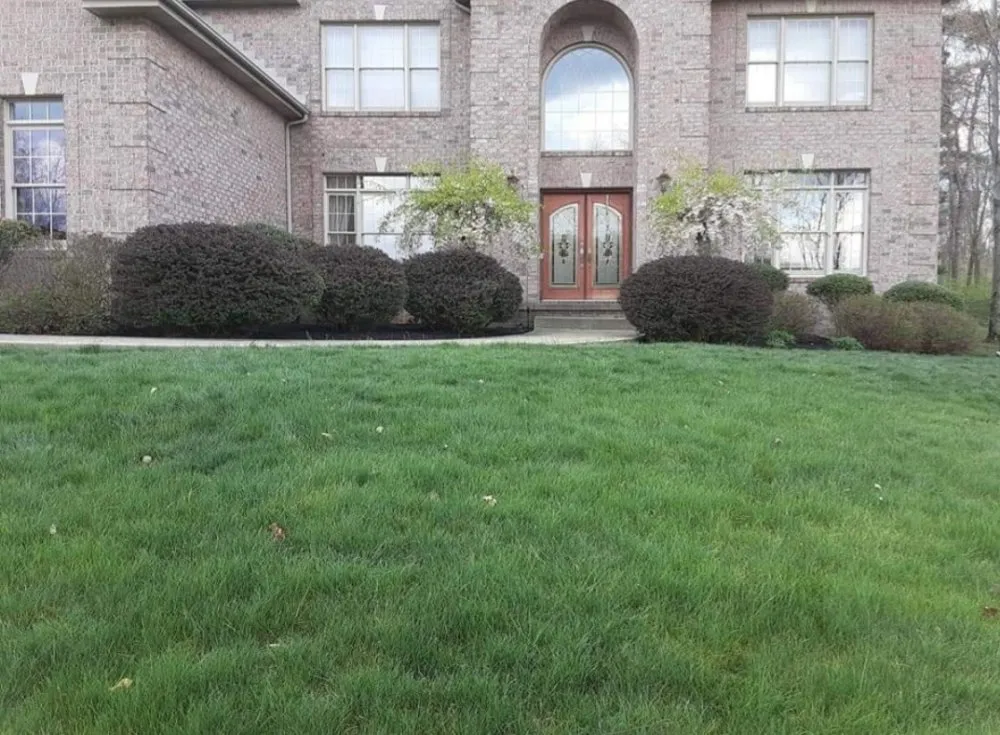 Local landscape installation for outdoor upgrades in Swissvale, PA by Faodail landscaping