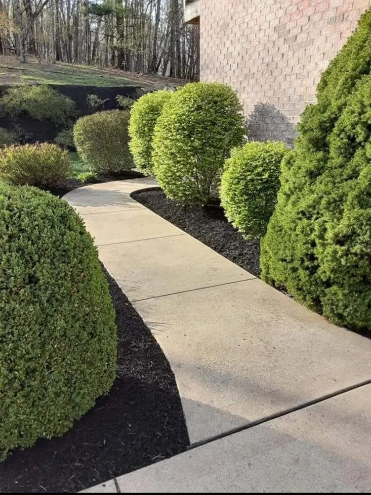 Reliable garden landscaping experts serving Swissvale, PA - Faodail landscaping