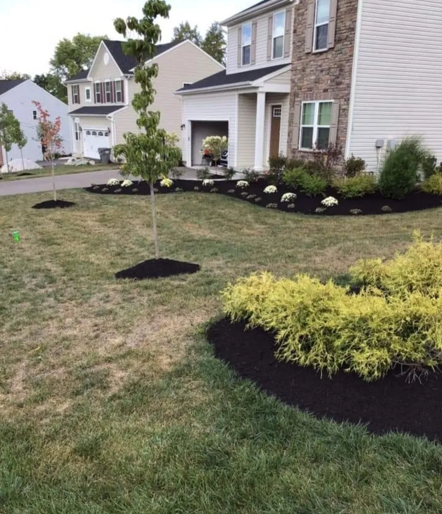 Top-rated landscape installation in Swissvale, PA - Faodail landscaping