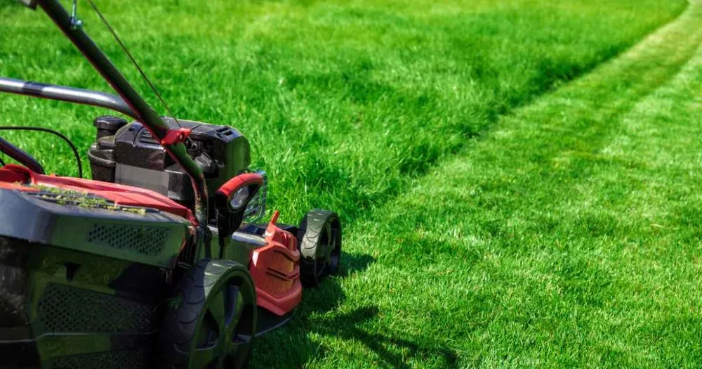 Expert yard cleanup service in Okmulgee, OK by FAP Lawn Care and Junk Removal