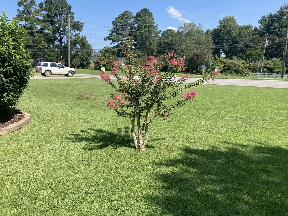 Affordable lawn mowing service for residential properties in Greenville, NC by Far Reaching Lawncare