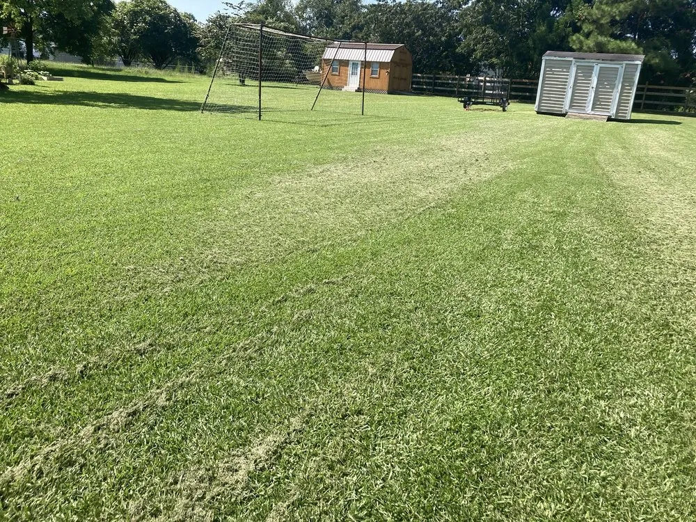 Top-rated yard cleanup service near you in Greenville, NC by Far Reaching Lawncare