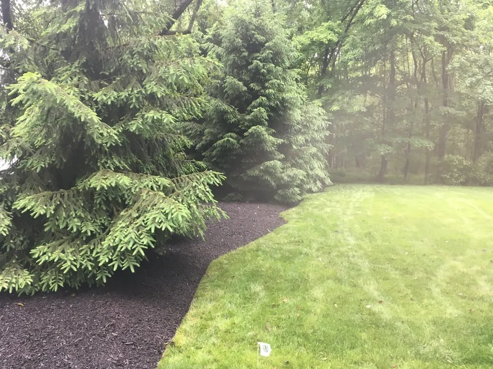 Custom yard cleanup service in Sommerset, NJ - Farah Landscape & Design