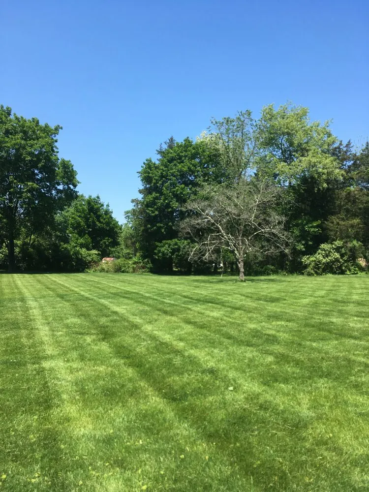 Affordable outdoor landscaping in Sommerset, NJ - Farah Landscape & Design