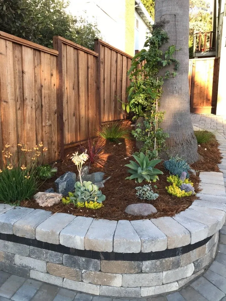 Professional lawn mowing service in Berkeley, CA by Farallon Gardens