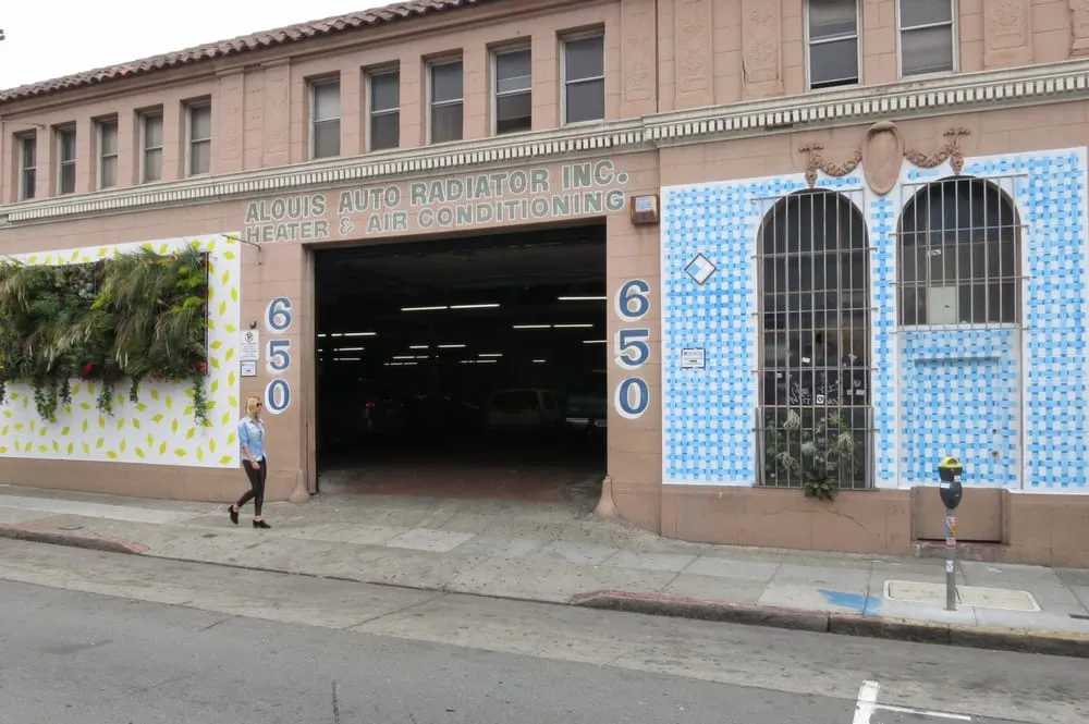 Expert yard maintenance experts serving Berkeley, CA - Farallon Gardens