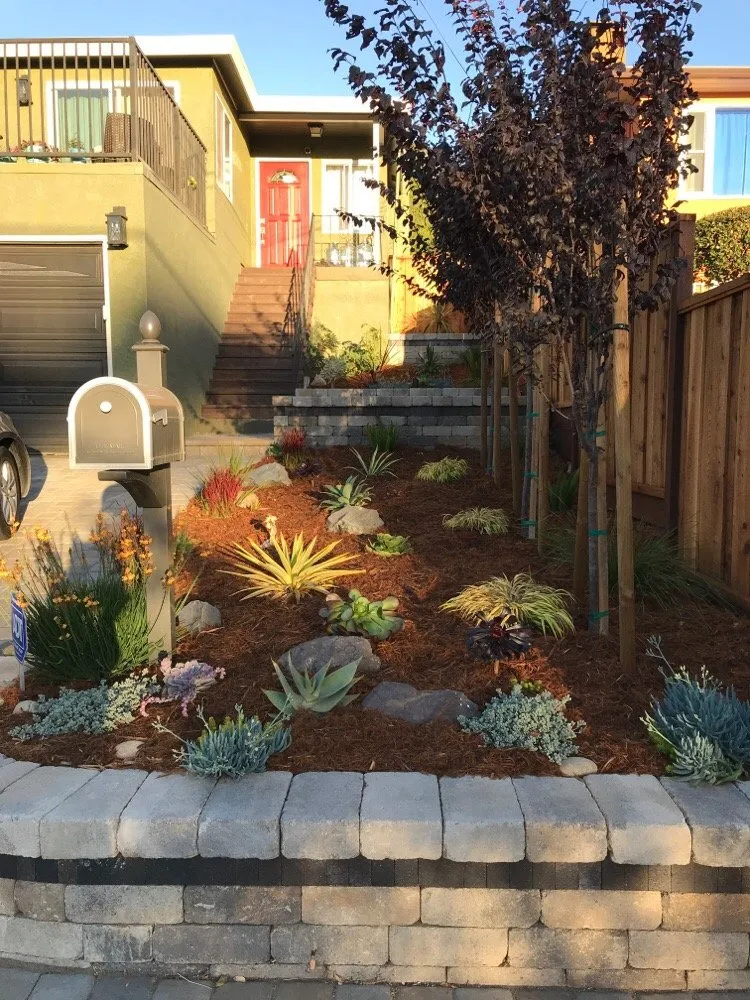 Reliable yard maintenance experts serving Berkeley, CA - Farallon Gardens