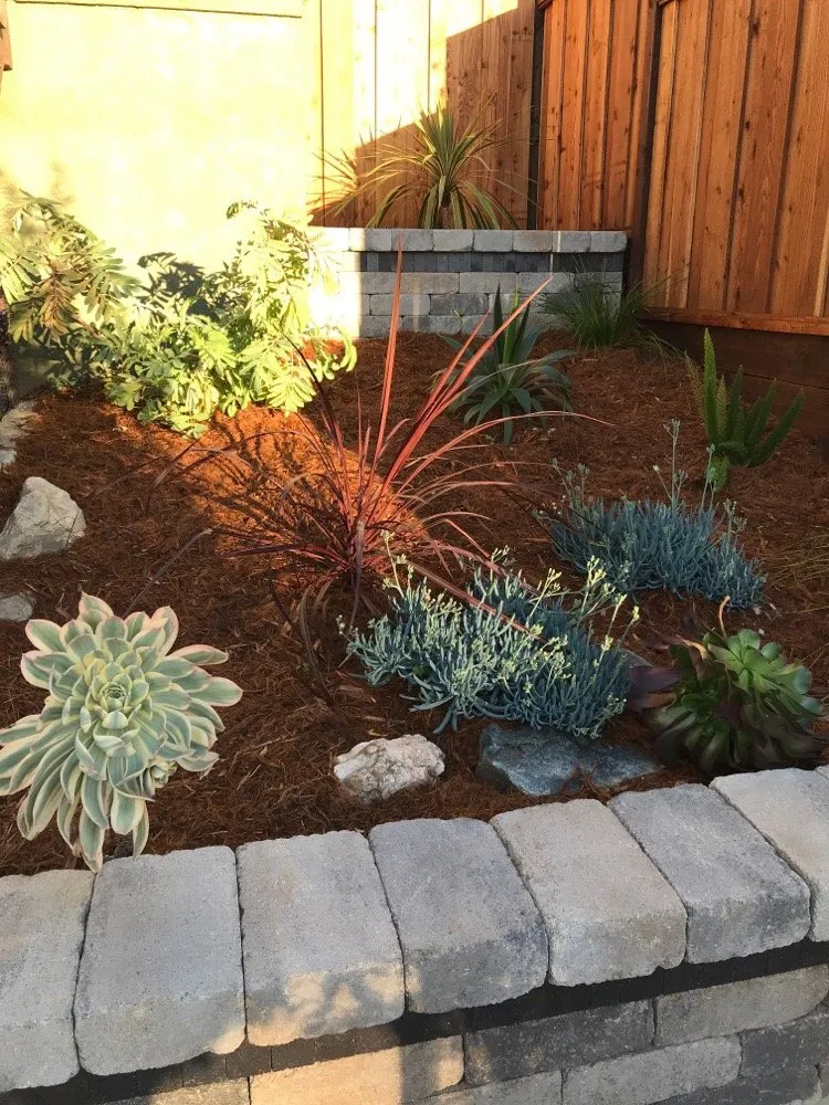 Reliable landscape installation for year-round maintenance in Berkeley, CA by Farallon Gardens