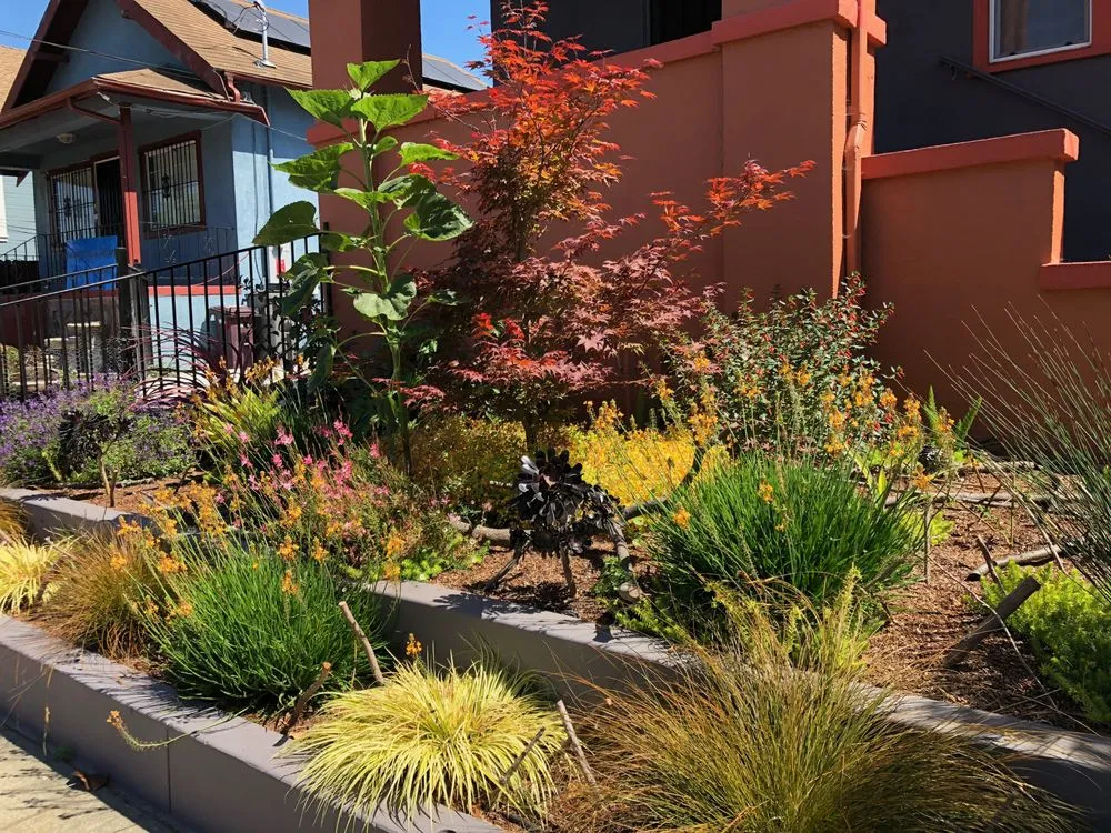 Professional garden landscaping in Berkeley, CA - Farallon Gardens