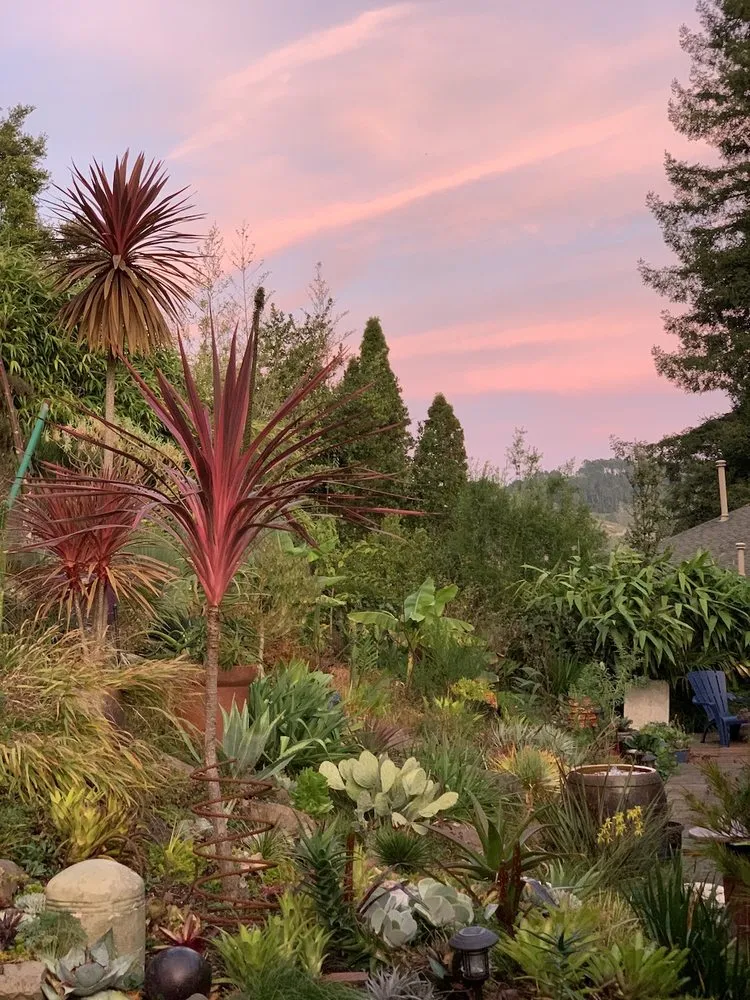 Top-rated outdoor landscaping near you across Berkeley, CA - Farallon Gardens