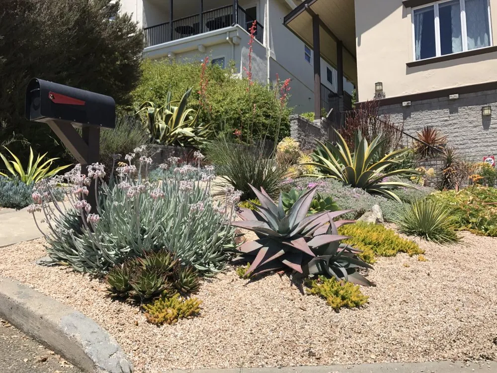 Top-rated landscape design for residential properties in Berkeley, CA by Farallon Gardens