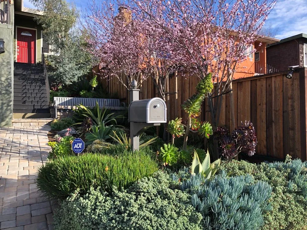 Expert outdoor landscaping for beautiful yards across Berkeley, CA - Farallon Gardens