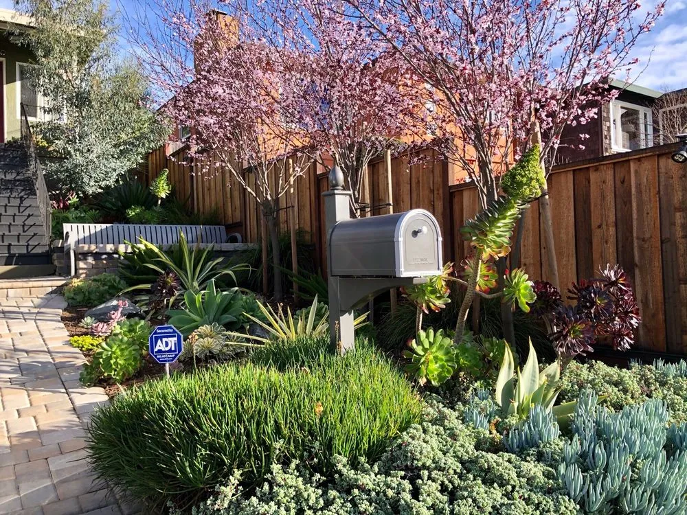 Top-rated yard cleanup service experts serving Berkeley, CA - Farallon Gardens