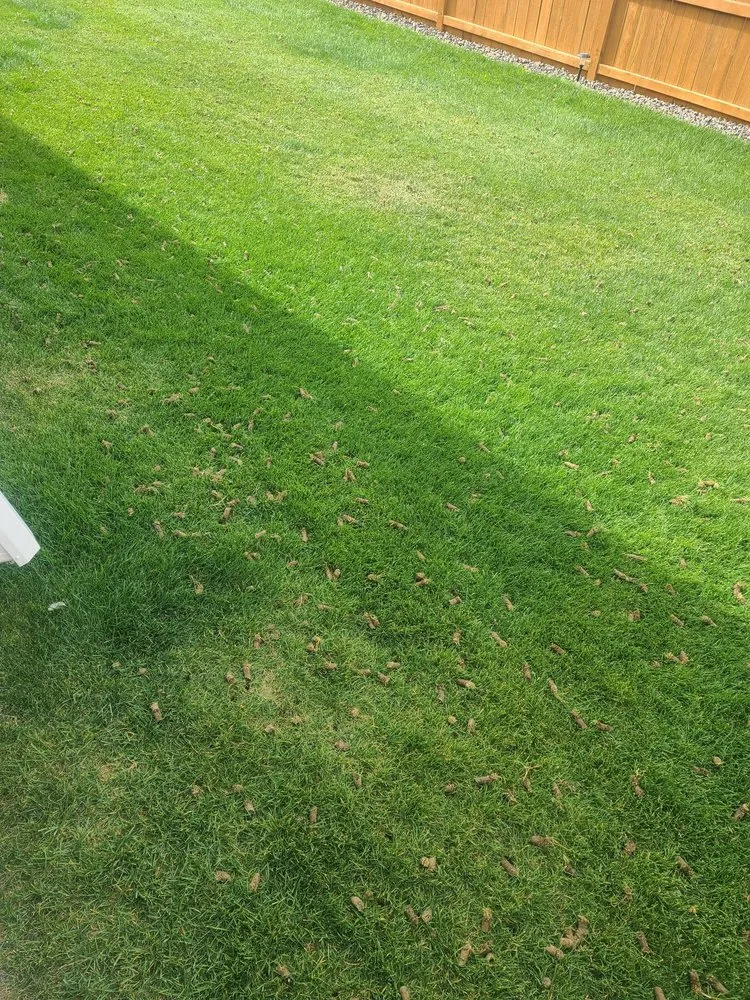 Local lawn care service in Loveland, CO by Farber Lawn Service