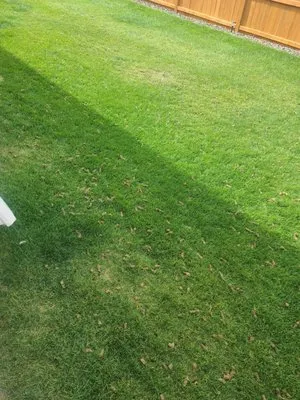 Farber Lawn Service Logo