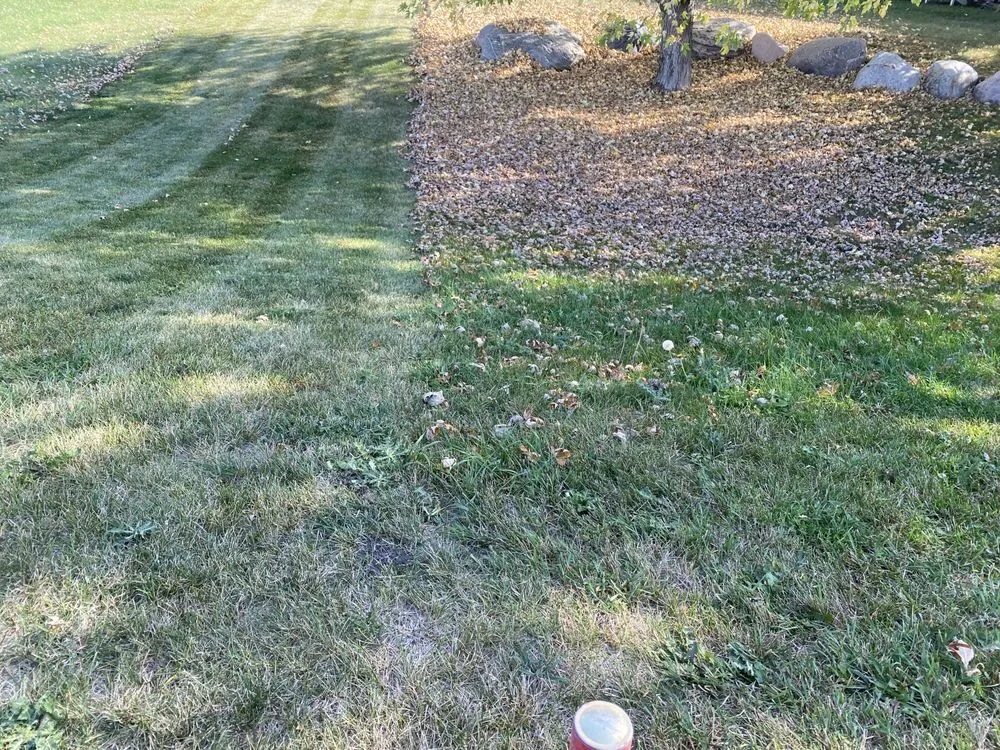 Expert landscape installation in Fargo, ND by Fargo Lawn Service