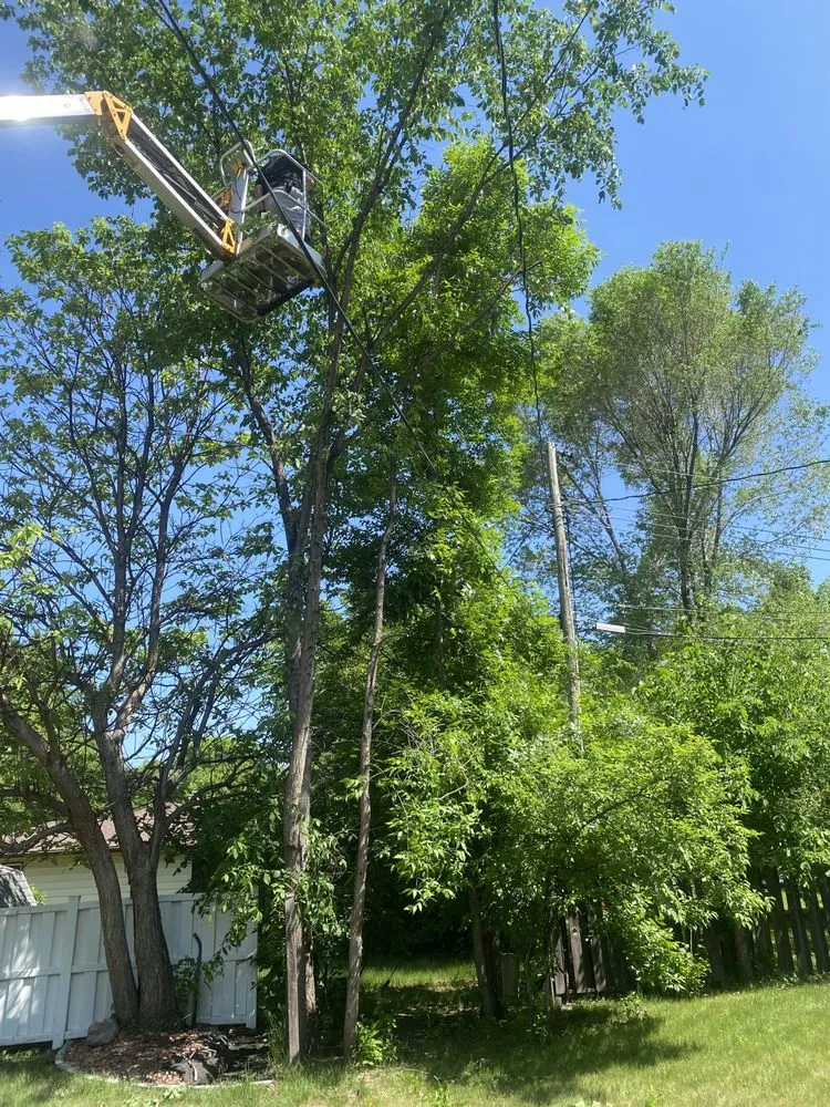 Expert garden landscaping for outdoor upgrades in Fargo, ND by Fargo Lawn Service