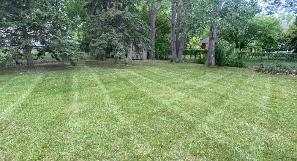 Local lawn care service for year-round maintenance across Fargo, ND - Fargo Lawn Service
