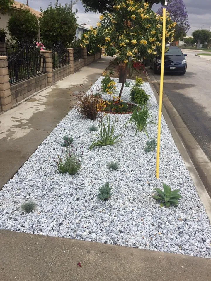 Top-rated outdoor landscaping in Pico Rivera, CA by Farias Landscape & Design