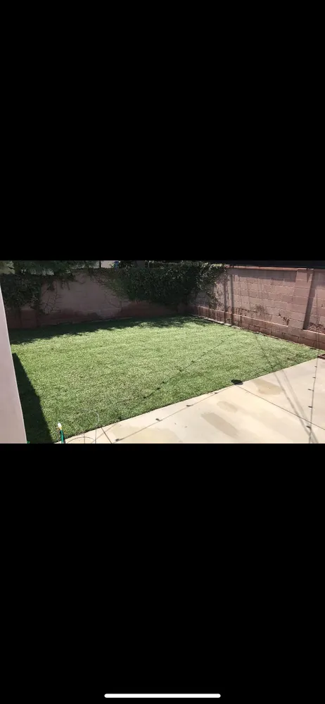 Trusted yard cleanup service for homes in Pico Rivera, CA by Farias Landscape & Design