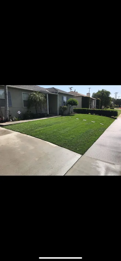 Top-rated landscape installation in Pico Rivera, CA - Farias Landscape & Design