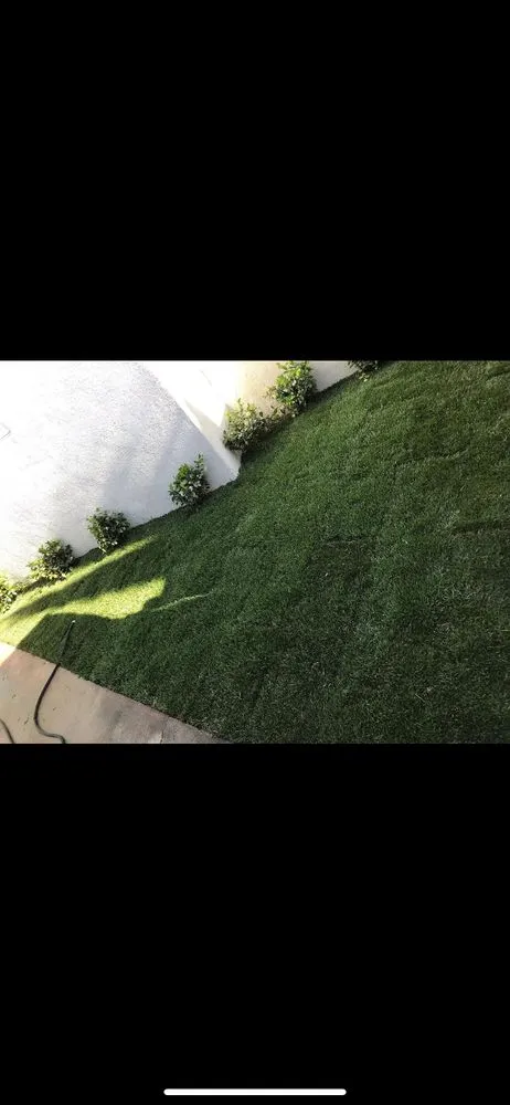 Expert landscape design in Pico Rivera, CA by Farias Landscape & Design