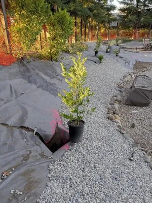 Farias Landscape and Fences Logo