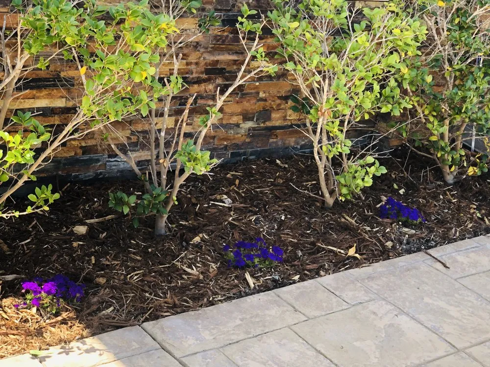 Trusted lawn mowing service near you in Los Angeles, CA by Farias Landscape