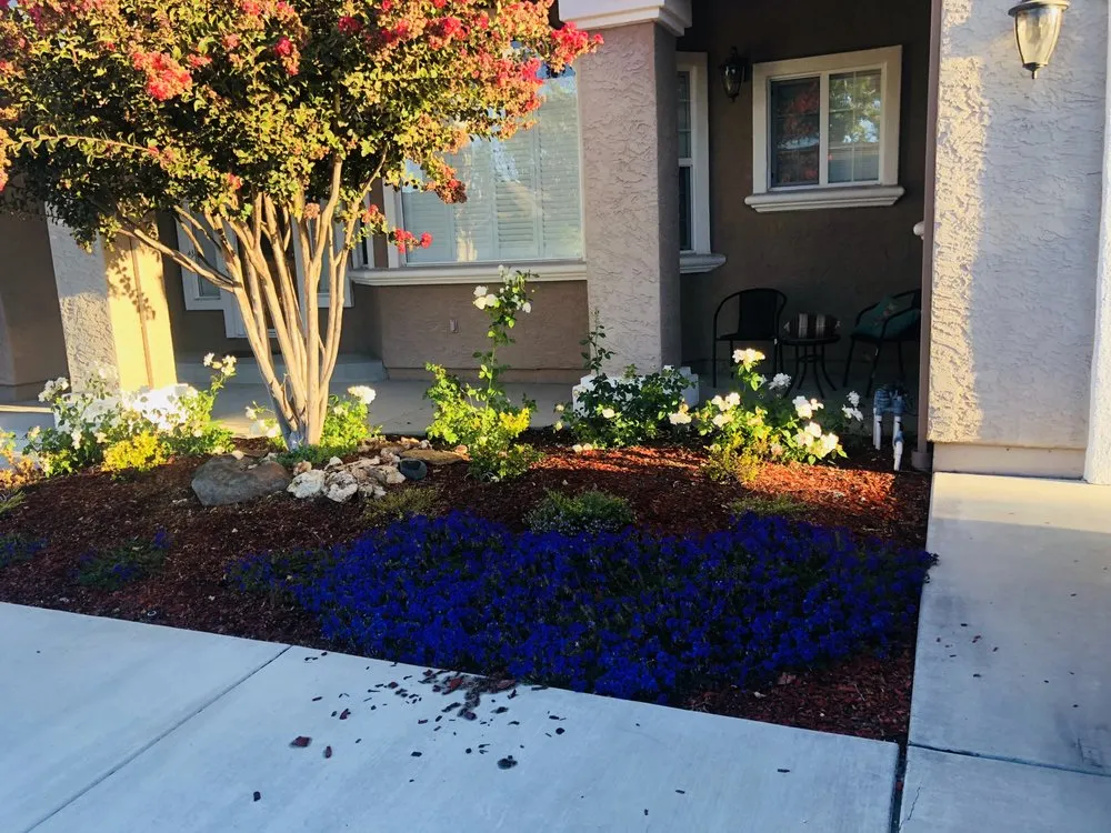 Expert yard maintenance in Los Angeles, CA by Farias Landscape