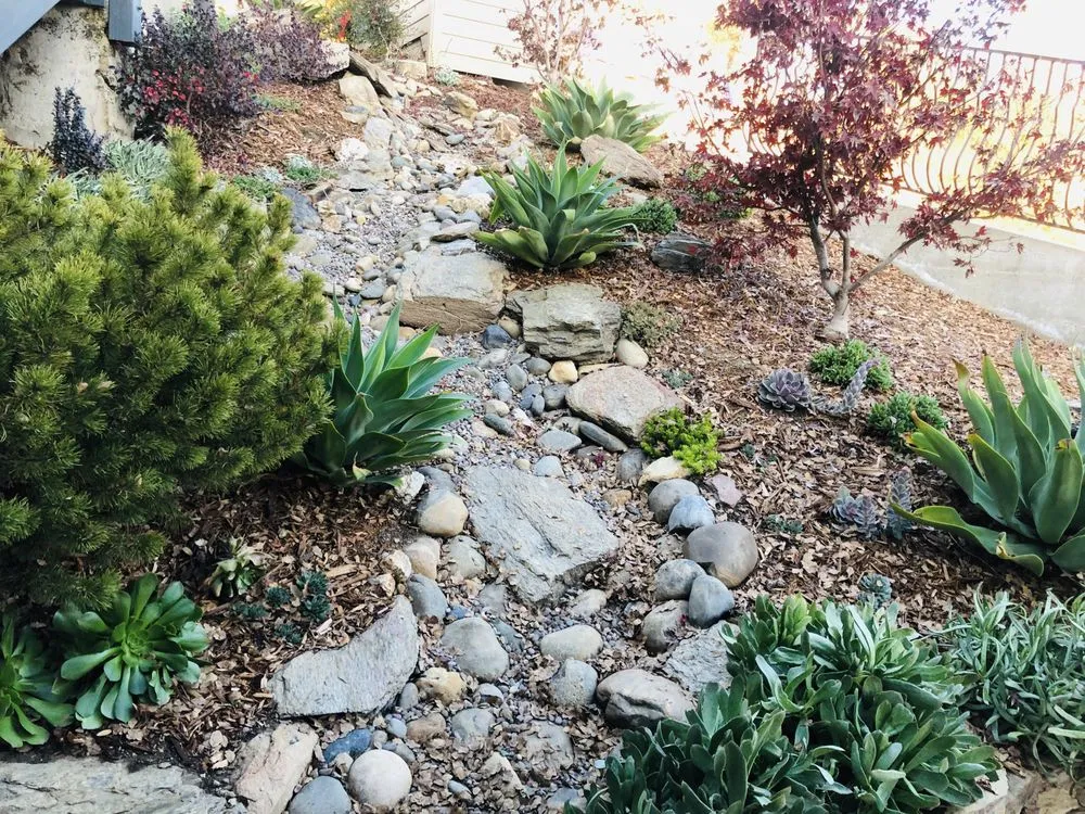 Top-rated outdoor landscaping in Los Angeles, CA - Farias Landscape