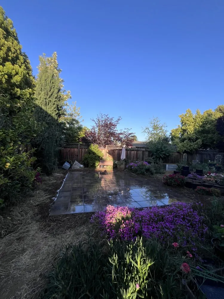 Top-rated lawn care service for homes across Santa Clara, CA - Farias Landscape