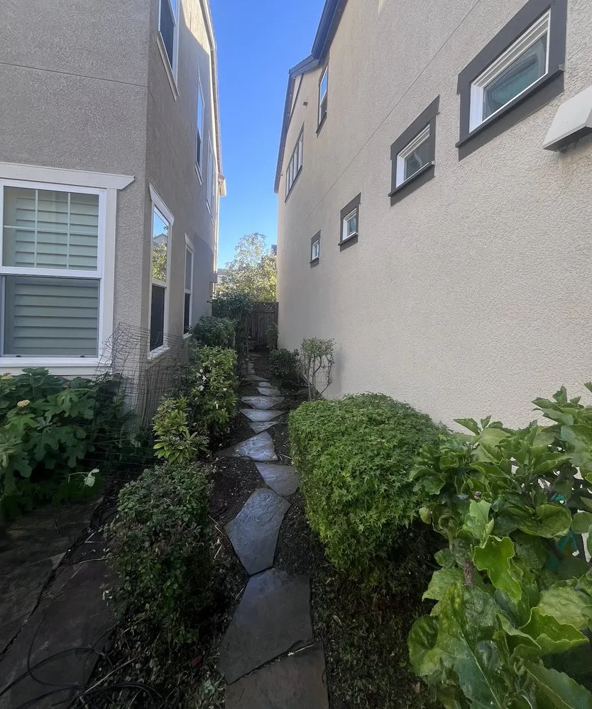 Expert yard cleanup service with custom design in Santa Clara, CA by Farias Landscape