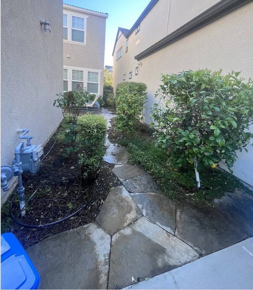 Custom lawn mowing service for outdoor upgrades across Santa Clara, CA - Farias Landscape