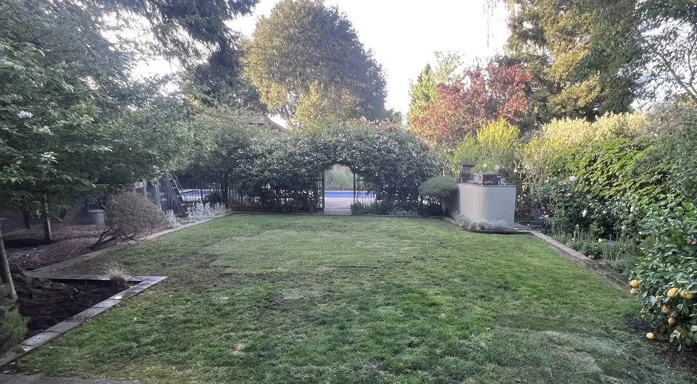 Custom lawn care service in Santa Clara, CA by Farias Landscape